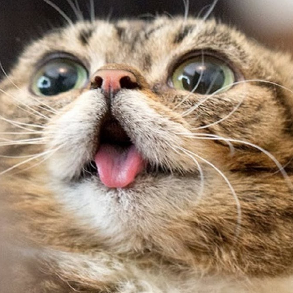 Meet your Posher, Erik